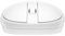 HP - PC 240 Empire Souris sans Fil, capteur Optique de 1600 DPI, Bluetooth 5.1, 3 Boutons, molette de défilement, poignée Pratique et Fonctionnelle, Design ambidextre, Windows 11, Blanc