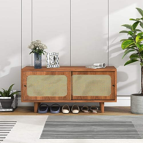 Shye Zapatero de ratán con 2 puertas con estante ajustable, color nogal, elegante zapatero para pasillo, salón y dormitorio, 104 x 40 x 48 cm