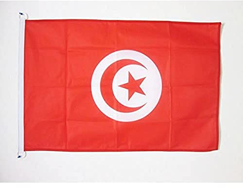 AZ FLAG Pavillon Tunisie 90x60 cm Tunisien Maille Bloquée Anneaux Plastique