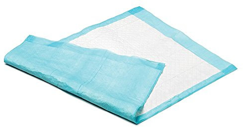 KRANKENUNTERLAGEN EINMALUNTERLAGEN - 60 x 90 cm - 10 Stuck - INTERHOME©