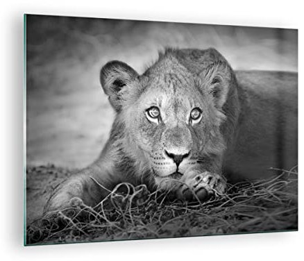 ARTTOR Bilder auf Glas Löwe asiatisch Porträt Glasbild 70x50cm Wandbilder Dekoration Wohnzimmer Schlafzimmer Küche Deko Klein Wanddeko Bild im Glas Wand Kunstdruck Art Modern Wall Decor GAA70x50-4840