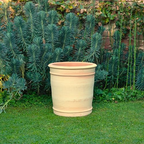 Palatina Cerámica | Maceta de terracota hecha a mano | absolutamente resistente a las heladas/estable | Macetero para plantar | interior y exterior Canna (60)