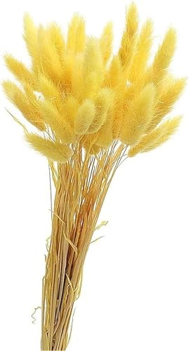 50PCS Pampasgras Trockenblumen, 45 cm Natürliche Lagurus Getrocknet Blumen Getrocknetes Schilfgras Getrocknetes Pampasgras für Hochzeit Hause Party Wedding Büro Fotografie Vase Deko (Gelb)