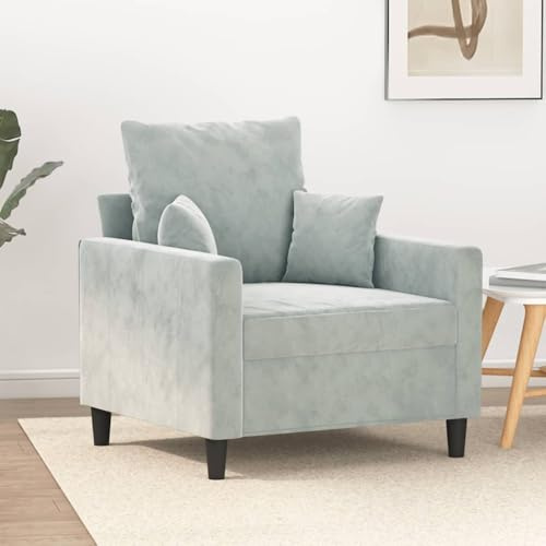 Emmtore Sessel Sofa Relaxsessel mit gepolstertem Sitz Armlehnen, Fernsehsessel Loungesessel Metallgestell, Polstersessel Ruhesessel für Wohnzimmer,Samt Hellgrau,60 cm