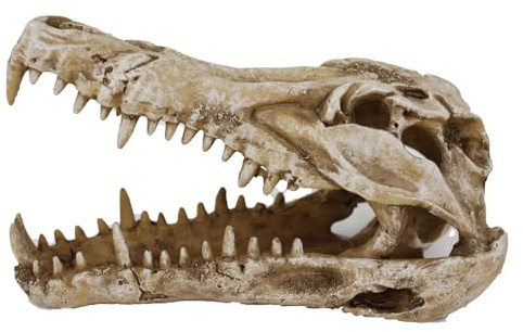 Reptiles-Planet B Öppna Caiman Död Skalle Terrarium Dekor