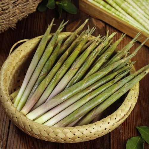 BambussprossenSamen - garten Bamboo Shoot - balkon gemüsesamen bio alte sorten alte sorten 150pcs