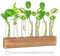 Nizirioo Jarrón De Tubo Vídrio, Estación De Propagación Jarrón De Tubo De Ensayo Hidropónico Jarrón Hidropónico Con Soporte De Madera Y Cepillar Para Plantas Hidropónicas Decoración Del Hogar(8 Tubos)