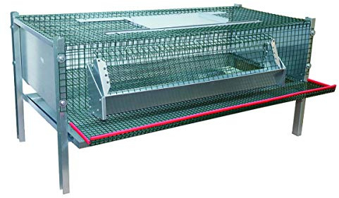 Legebox für Wachteln aus Metall 100 x 50 x 50 cm, Wachtelbox, Wachtelhaltung, einfache Eientnahme