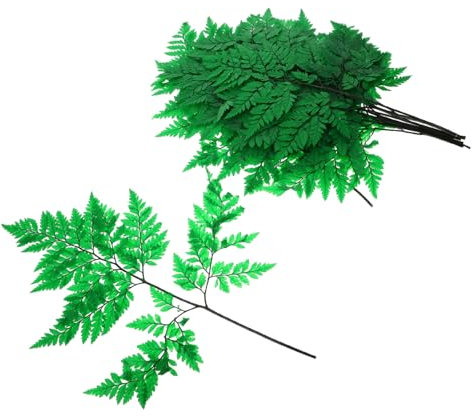 LIFKOME Getrockneter Farnstrauß Aus Natürlichen Trockenpflanzen Selbstgemacht Blumenarrangement Deko Für Zuhause Und Hochzeit Grüner Heimfarn Bund Ohne Pflege