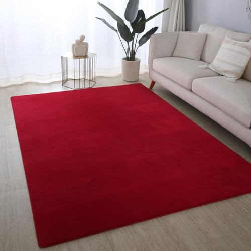 Ultra Soft Plush Anti-Slip Carpet Mat Living Room Large Area Rugs Modern Floor Bedroom Extra Large Size Non Shedding (Red, 160 x 230 cm)