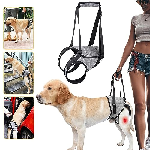 Hundehebegeschirr Helfen Sie Hunden mit Schwachen Hinterbeinen, Hundestützgeschirr Weich Hundestützschlaufe Hundegeschirr für Verletzte Behinderte Kleine, Mittlere und Große Hunde, Größe L