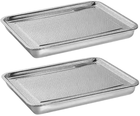 SMELEYOU 2PCS Stainless Steel Seed Germination Tray Kit Rectangle Wheatgrass Bean Sprouts Grow Tray for Garden Supply