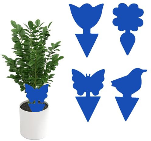 König Design 60 lavagne blu tripidi di combattimento, lavagne adesive professionali blu contro le tripse, adesivi blu, protezione di alberi da frutto e piante da interno (blu)