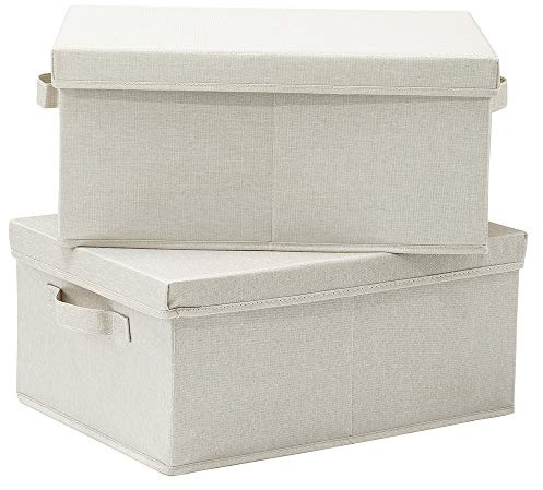 HOONEX Foldable Storage Bins with Lids, 2 Pack, Storage Boxes with Carrying Handles and Sturdy Heavy Cardboard, 16.5 L x 11.8 W x 7.5 H for Shoes, Books, Clothes, Beige