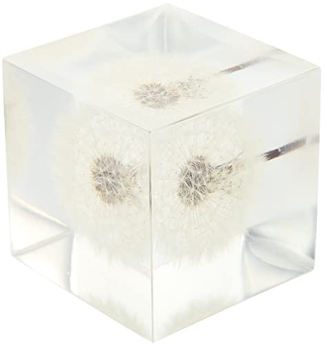 NOLITOY Wohnkultur Dekorative Kugeln Fengshui-kristallkugel Home-Desktop-Ornament Touristen-Souvenir Briefbeschwerer Löwenzahn Decoraciones para Sala De Casa Künstliche Tisch Reisen Erde