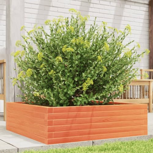 qohoio Jardinière Cire Marron 80x80x23 cm Bois de pin Massif Jardiniere sur Pieds,Bac avec Treillis,Jardiniere Terrasse