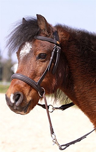 Barefoot Gebisslose Zäumung für Pferde – Bittless Bridle und Sidepull in einem – Weich gepolstert mit breitem Nasen-, Stirn- und Genickstück – ideal für Western, Englisch und Wanderreiten – braun