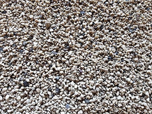 Der Naturstein Garten Premium Bims Granulat 25 kg – für Pflanzen, Bonsai, Kakteen, Dachbegrünung, gewaschen & gesiebt