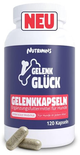 Gelenkkapseln für Hunde – 120 Kapseln – Gelenkkomplex mit Grünlippmuschel, MSM & Kollagen – Alternative zu Gelenktabletten für Hunde – Entwickelt mit Experten – Laborgeprüft – Einführungspreis