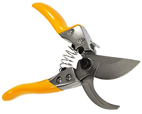 GRÜNTEK Forbici Potatura Giardino Cesoie Vigna fiori Piante Giardino 200mm Universali