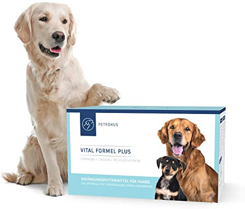 PetFokus Vital Formel Plus | unterstützt Verdauung, strahlendes Fell, Energie & Vitalität | Futterergänzung für Hunde | Vitamine, Mineral- & Pflanzenstoffe I Probiotika & Omega-3 | leckerer Geschmack