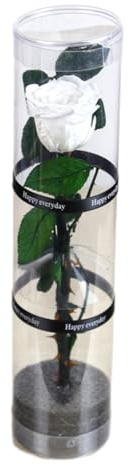 VUIUYOIES Flor Eterna Romántica Elegante Símbolo De Amor Sin Mantenimiento Rosas Individuales Reales Estabilizadas Mezcladas Y Conservadas, Blanco