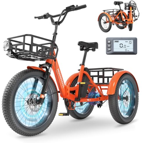 MOONCOOL E Bike Dreirad Klapprad, 20 Elektrofahrräder für Herren Damen, 36V 20AH Akku, 250W Motor 45 Nm, LCD-Display, IP65 Wasserdicht, 3 Fahrmodi, mit Großen Körben & Fußstützen