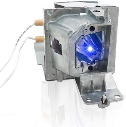 MC.JH011.001/BL-FP190E/SP.73701GC01/BL-FU195B/SP.71P01GC01/SP.78H01GC01/BL-FP195A/SP.79C01GC01/BL-FP195B/NP36LP Lampe de remplacement pour projecteur compatible avec ACER X113, X113P/OPTOMA HD421X