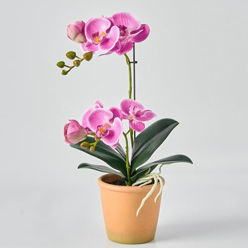 Avoeco Artificial Real Touch Orchid Plant – 15 Faux Phalaenopsis in Pot – Highly Realistic Silk Orchid Flower & Leaf Texture for Home, Office,Shop & Wedding Décor (Fuchsia, 15“)
