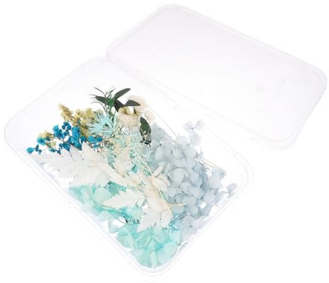 Alipis 1 Schachtel Getrocknetes Blumenmaterialpaket Scrapbooking-blumendekor Handgemachtes Blumenmaterial Echte Gepresste Blumen Trockenblumen Für Selber Machen Getrocknete Blumen