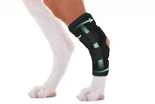 Lyderpet Hunde-Beinbandage für hinteres Sprunggelenk, Kompressionsbandage, starke Unterstützung, Rückenbein bei Hunden gerissenen Acl & Ccl, Hinterknöchelverletzungen und Verstauchungen, hält warm und
