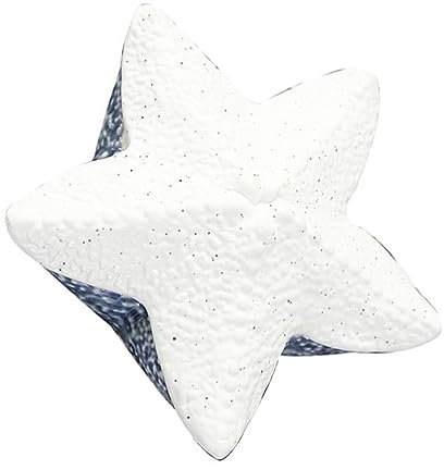 BESPORTBLE Caja De 1 Pieza Joyero De Estilo Marino Caparazón Llave Océano Tapa Decoración Del Hogar Tarro Estilo Mar Recipiente Titular De La Joyería Porcelana Blanca