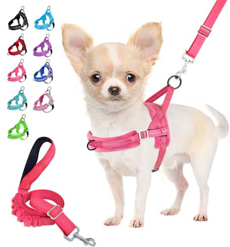 Eyein Hundegeschirr mit Leine für mittelgroße Kleine Hunde, Weich gepolsterter No-Pull Brustgeschirr mit 2 Leinenclips, Leichtgewicht Reflektierend Geschirr Hals und Brust verstellbar (Rosa, S)