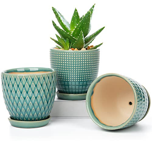 Juego de 3 macetas de cerámica, macetas suculentas Redondas pequeñas con Orificio de Drenaje y Cuenco de cerámica para Cactus suculentos en Interiores, diámetro 11,2cm
