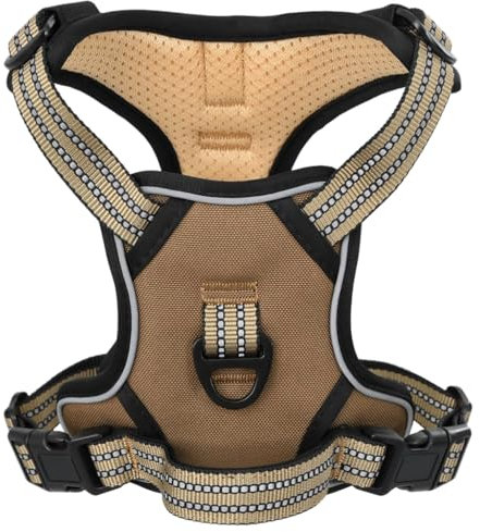 vidaXL Pettorina Cani con Guinzaglio e Collare Regolabile Marrone XL, Pettorina per Cani con guinzaglio, Imbracatura per Cani, Imbracatura per Animali Domestici