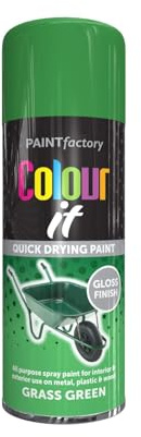 DIOXSTAR Green Grass Gloss Spray, Quick Drying Paint, All Purpose Spray Paint, Suitable for Metal, Plastic & Wood Surfaces, Interior & Exterior Use, 250ml (1 PCS)