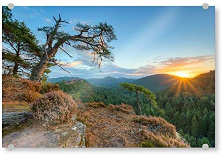 artboxONE Acrylglasbild 120x80 cm Natur Morgens im Pfälzerwald - Bild Rheinland Pfalz Felsenland Haferfels