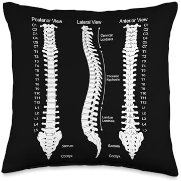Human Spine Anatomy Chiropractic Diagram Throw Pillow
