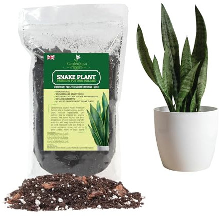 Premium Snake Plant Potting Soil Mix - Green Sansevieria Trifasciata Zeylanica - Re-Pot Your Snake Plant - 1 Liter Bag