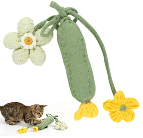 FooYee Katzenminzen Spielzeug, Katzenspielzeug mit Pflanzlicheementen, Interaktives Katzenspielzeug, Gurkenförmiges Katzenspielzeugs, Quietschendes Katzenspielzeugs, Weiches Kitten Spielzeug