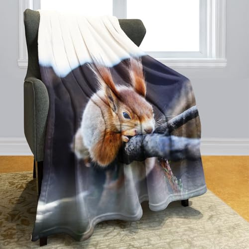 Violetpos Dick Decke Wärme Gemütlich Flanell-Fleece Sofadecke Deckeldecke hochwertige Wohndecke superweich Eichhörnchen-Baum 125 x 200 cm
