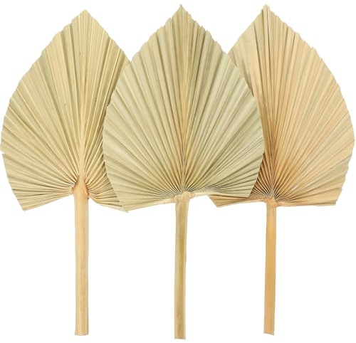 TOPPERFUN 3 Piezas Secas de Palma Estilo Abanico Decoración Natural para Pared y Arte Floral para Fiestas Bodas y Ambientación Boho el Hogar