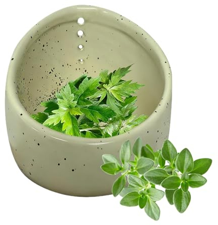 di ceramica vaniglia - Pelapatate artigianale in ceramica | di erbe da cucina | Fori di diverse dimensioni per cavolo Riccio, accelare, rosmarino, basilico, timo, menta