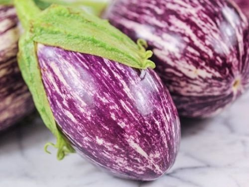 aubergines Superbe Listada de Gandia 50+ graines biologiques frais pour 2017
