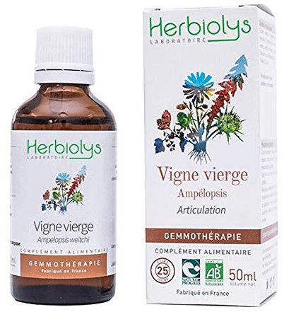 Herbiolys | Macérat de bourgeons Bio | Vigne vierge (Ampelopsis weitchi/triscupidata) | Articulation | Gemmothérapie Bio | 50 ml