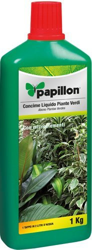 Papillon CONCIME Liquido per Piante Verdi 1 kg Fiori ARBUSTI CONCIMI