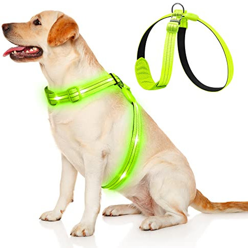 KOSKILL LED Hundegeschirr Wiederaufladbares Beleuchtetes Hundegeschirr Leuchtet Im Dunkeln LED Hundeweste Reflektierend Hundelichter für Nachtspaziergänge Grün L