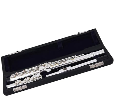 Professionnel Flûte Traversière 16 Clés Trous Ouverts C Ton Flûte Cupronickel Argent Plaqué Corps Flûte Instrument Avec Clé E