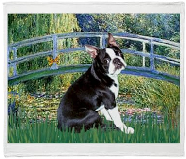 CafePress Lily Pond Bridge &Amp; Boston T Throw Blanket Super Soft Fleece Plush Throw Blanket, 60x50