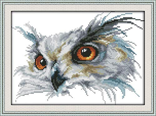Awesocrafts Kreuzstich Stickpackungen, Eule Tiere Bilder Vorlagen Stickerei Set Vorgedruckt